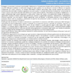 SAM 2025 ON LINE DA TRENTO