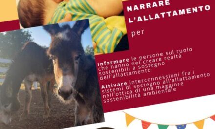 SAM 2025 a Mola di Bari (Ba)
