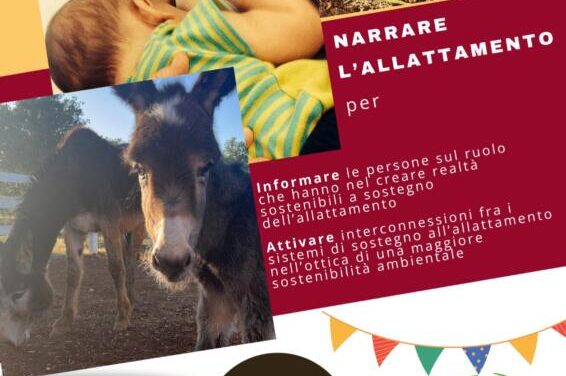 SAM 2025 a Mola di Bari (Ba)