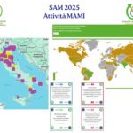 Bilancio sociale e attività MAMI – Report 2025